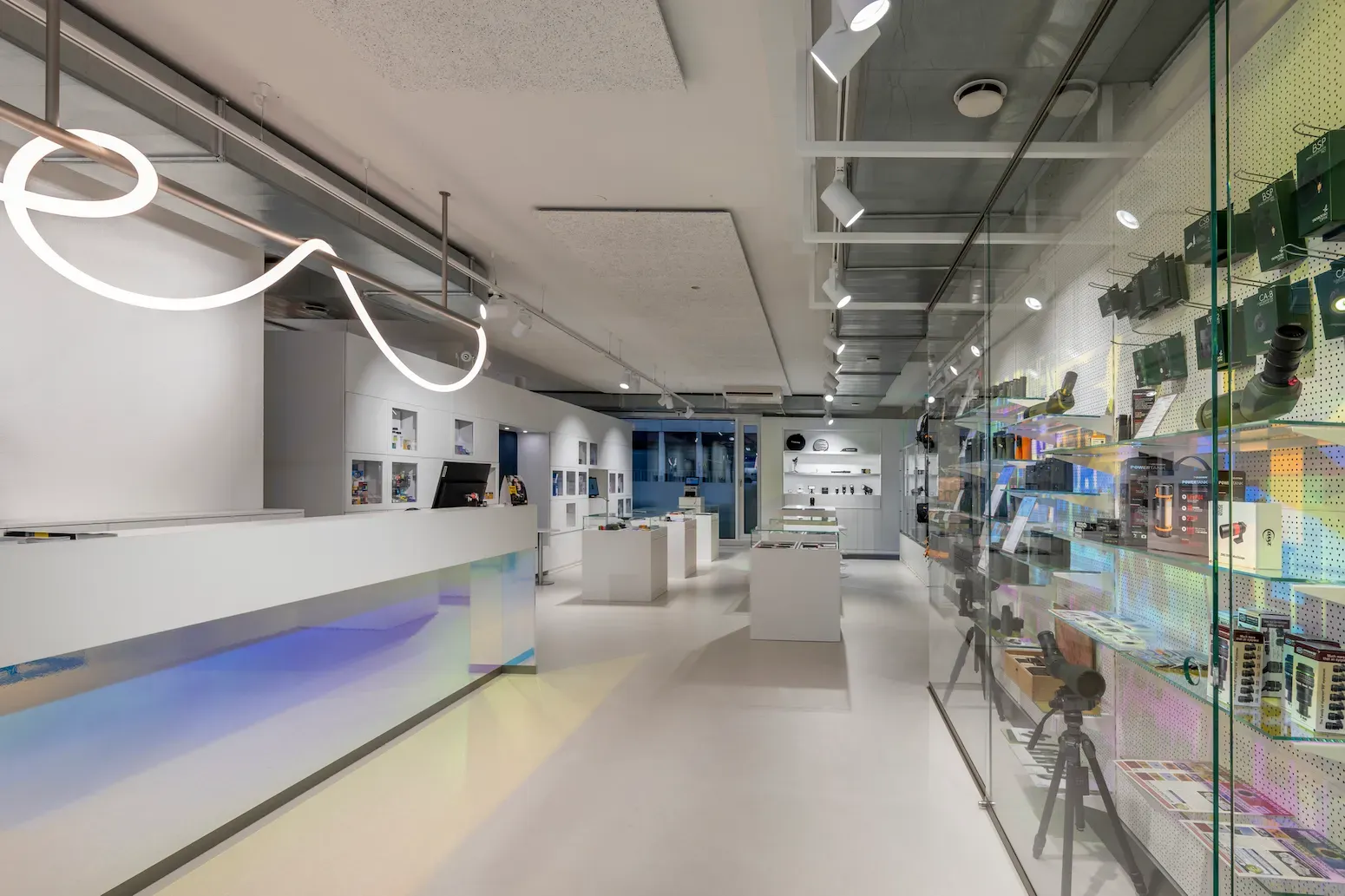 Architectural interior design showcasing organic forms and natural light